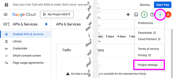 Google API Project settings.png