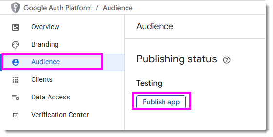 Google API Publish app.png