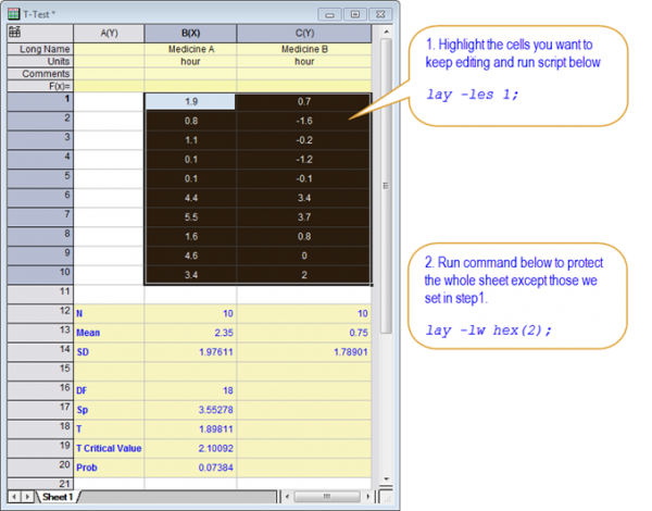 FAQ973 worksheet protection.png