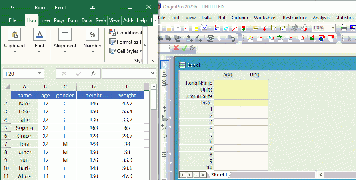 Copy Paste from Excel.gif