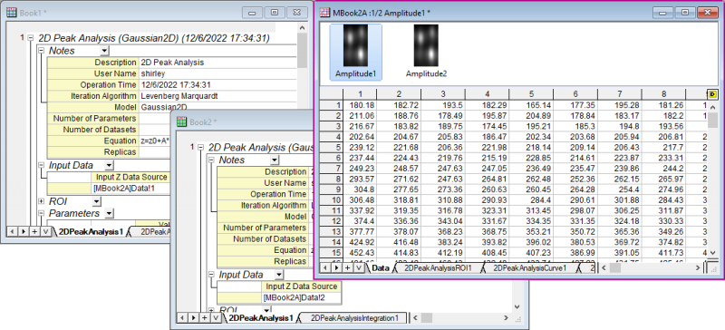 2D Peak Analysis App 04.png