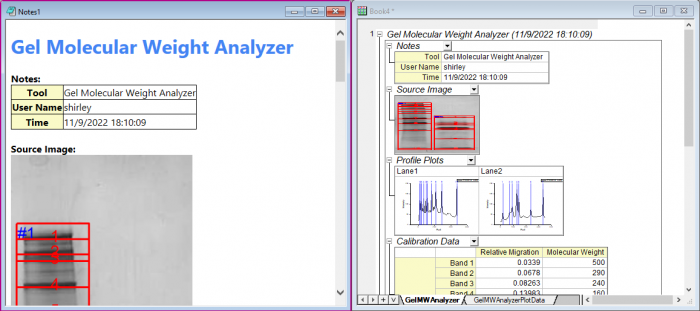Gel Molecular Weight Analyzer 10.png