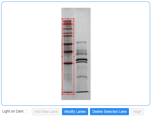 Gel Molecular Weight Analyzer 04.png