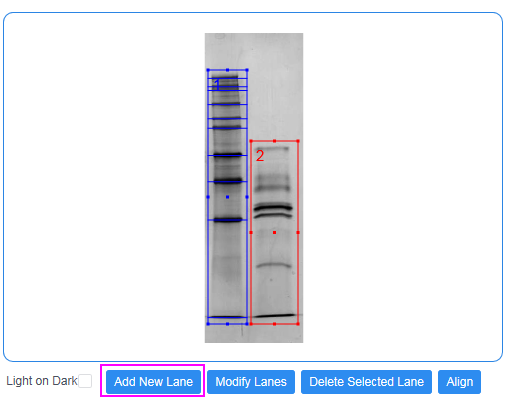 Gel Molecular Weight Analyzer 07.png
