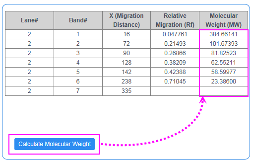 Gel Molecular Weight Analyzer 09.png