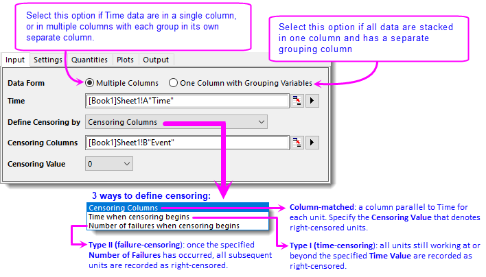 Parametric Dist Analysis Right Censoring Tutorial 02 Input.png