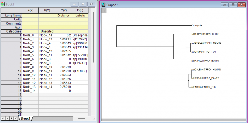PhylogeneticTreeResult.png