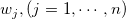 w_j, (j=1,\cdots , n )