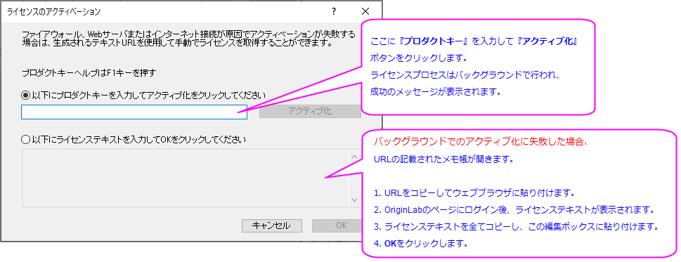 Lic activation dlg.png