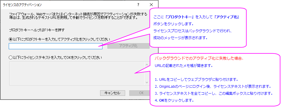 Lic activation dlg.png