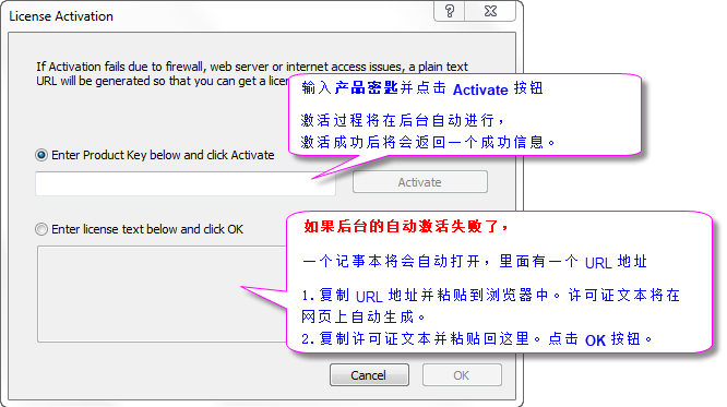 Lic activation dlg.png