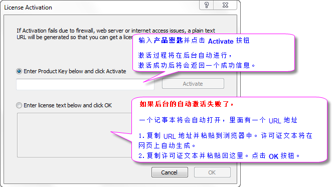Lic activation dlg.png