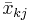 \bar{x}_{kj}\ 