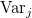 \text{Var}_j