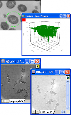 Arithmetic Transforms example.png