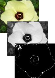 Image conversion example.png