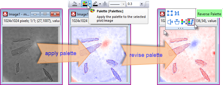 Convert palette 03.png