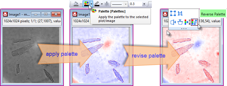 Convert palette 03.png