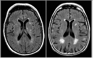 Convert palette original.png