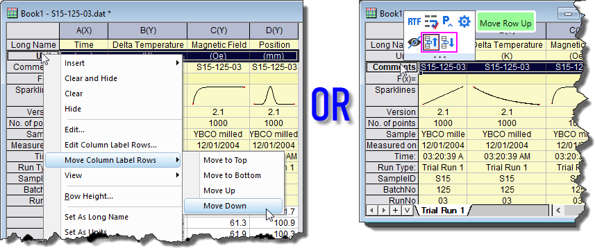 Displaying Supporting Data in Worksheet Header Rows 10.png