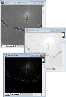 1Image adjustment example 1.png