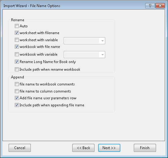 ImportWizard FileNameOptionsPage.png