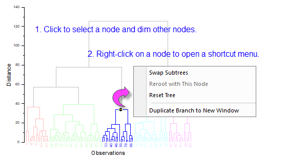 Phylogenetic tree select node.png