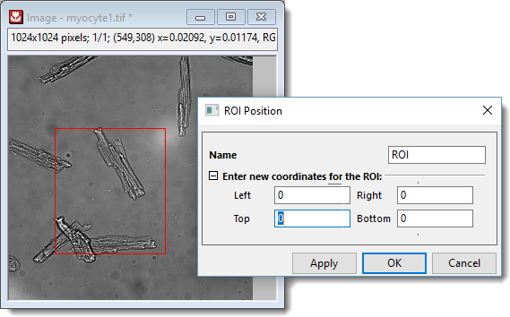Image window ROI Position.png
