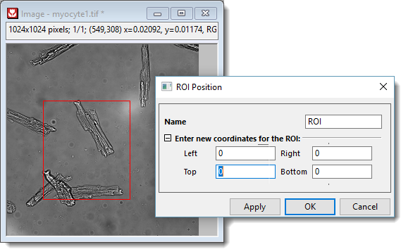 Image window ROI Position.png
