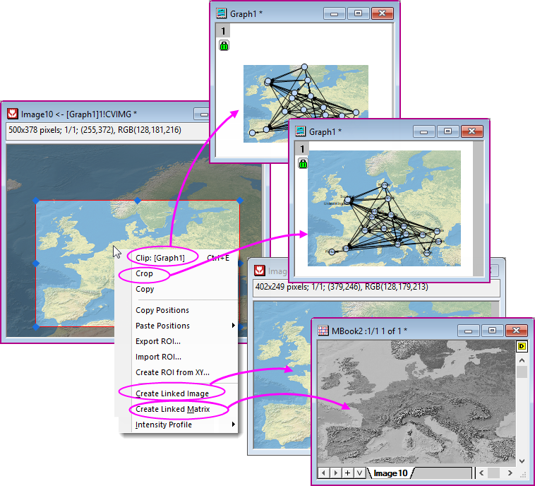 Image window ROI context menu.png