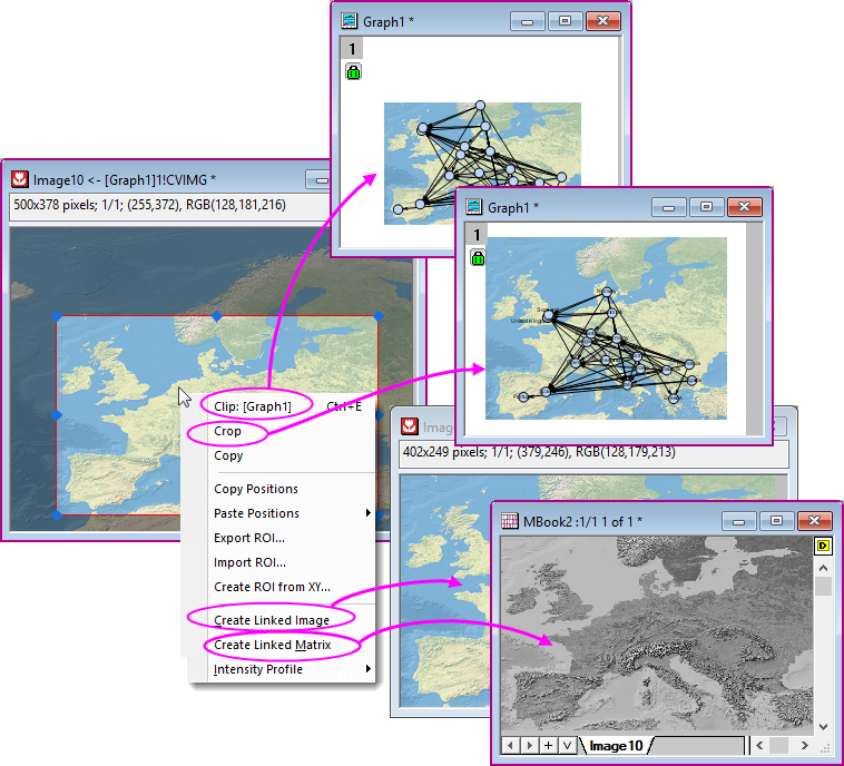 Image window ROI context menu.png
