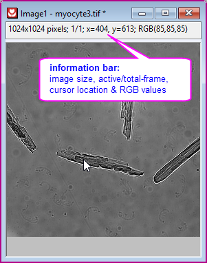 Importing Images introduction 02.png