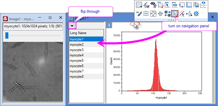 Multi Frame Image Plot Browser Graph.png
