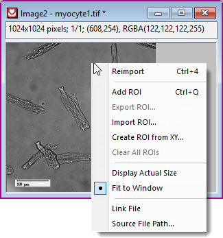 Save reload image.png