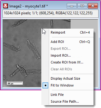 Save reload image.png