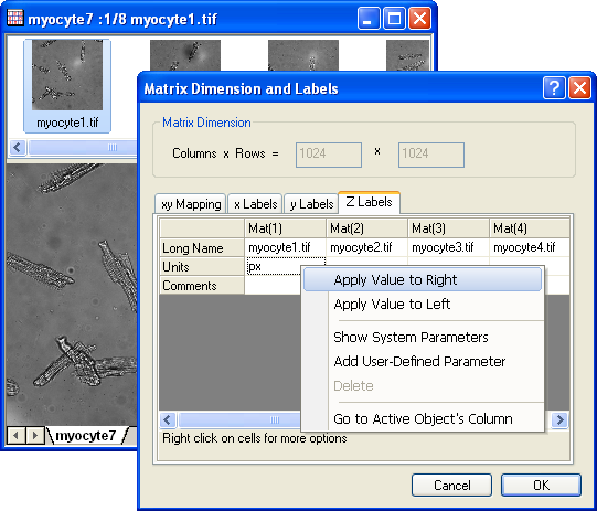 Matrix Object Headers.png