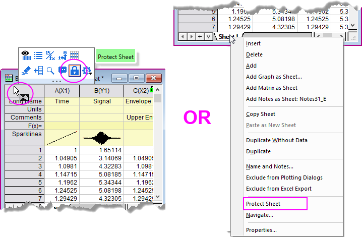 Protect Sheet menu.png