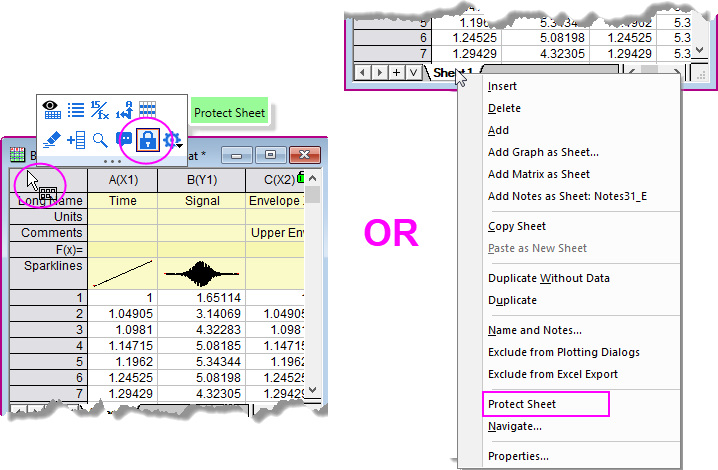 Protect Sheet menu.png