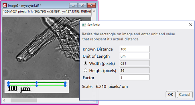 Set Scale Dialog.png