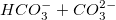HCO_{3}^{-} + CO_{3}^{2-}