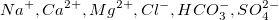 Na^{+}, Ca^{2+}, Mg^{2+},  Cl^{-}, HCO_{3}^{-},  SO_{4}^{2-}