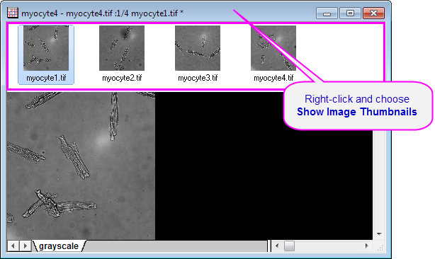 Matrix image thumbs.png