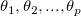 \theta _1, \theta _2, ..., \theta _p \,