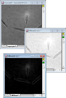 1Image adjustment example 1.png