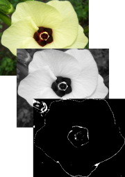 Image conversion example.png
