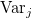\text{Var}_j
