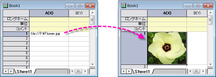 Links to Image File.png