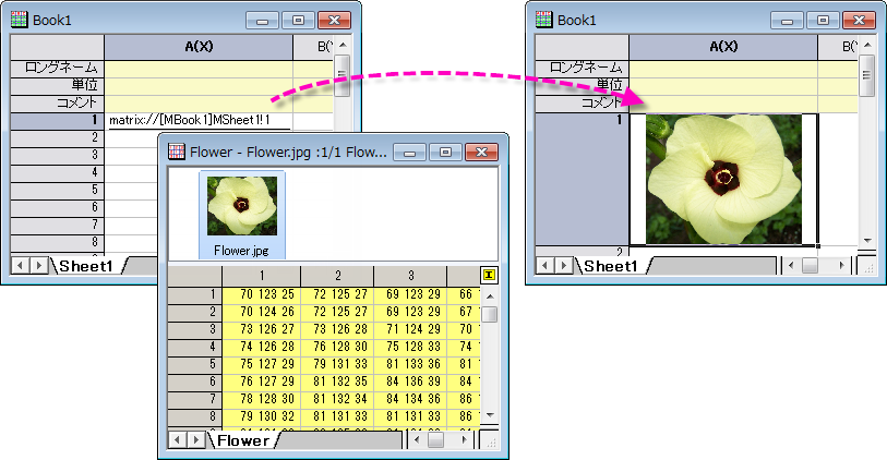 Links to Matrix Window.png