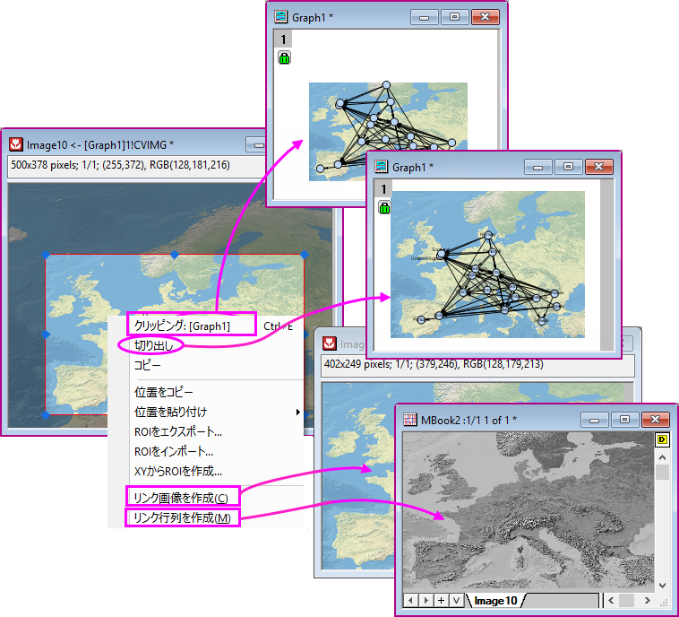 Image window ROI context menu.png