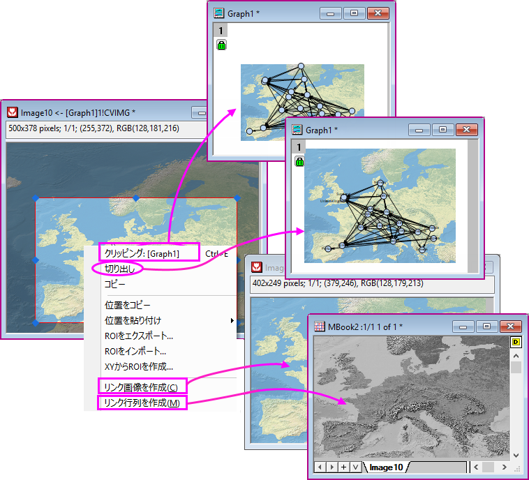 Image window ROI context menu.png